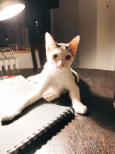 Processed with VSCO with q1 preset