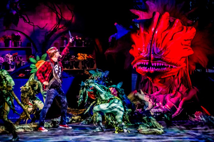 © www.AndreasLander.de